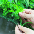 DIY дизайн зеленый свежий PE искусственная комнатные растения на продажу